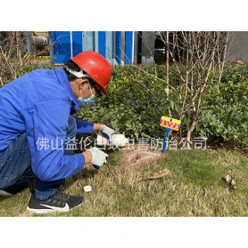 合水镇上门防治红火蚁
