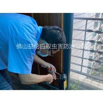 荷城明达小区白蚁防治