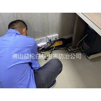 富湾房屋治白蚁工程