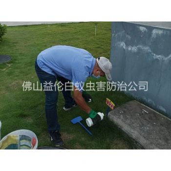 更楼镇红火蚁消杀工程