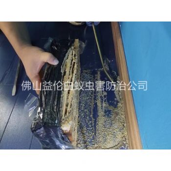 西安体育馆灭治白蚁工程