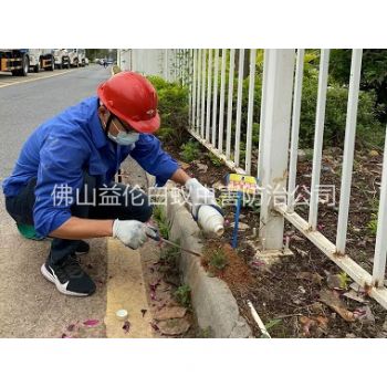 更合红火蚁防治工程