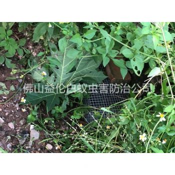 明城住宅区处理蛇患工程