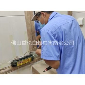 杨梅诱杀箱施药灭杀白蚁工程