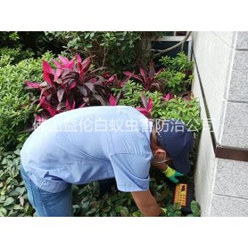 杨梅住宅环境灭鼠工程