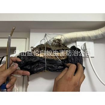 佛山房屋白蚁诱杀工程